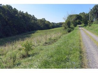 Tract 34 - Timberland & Farmland in Noble County, OH - LAND AUCTION - 12,200+/- ACRES OFFERED IN 65 TRACTS IN NOBLE COUNTY, OHIO